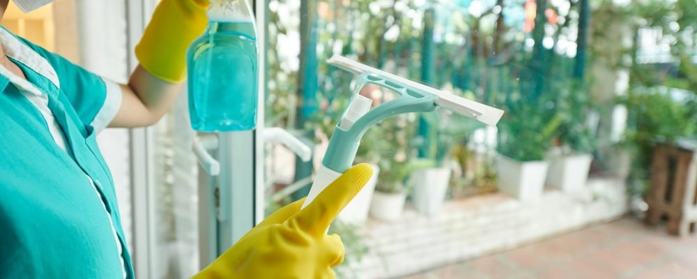Professional Window Cleaning